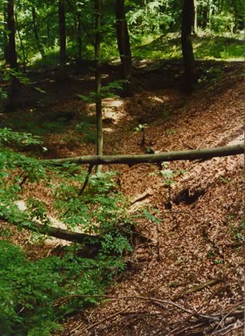 Durch wildes Kohlen graben entstandenes trichter- oder grabenförmigen Kohleloch, ein sogenanntes: Pingen image-595